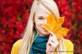 Fotografie 29-shutterstock-306598532_original.jpg